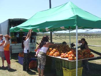 0070922_foire_koumac_13