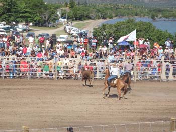 0070922_foire_koumac_26