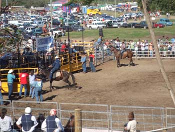 0070922_foire_koumac_36