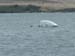 20071020_voile_asma_6